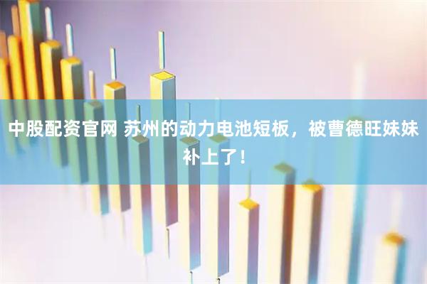 中股配资官网 苏州的动力电池短板，被曹德旺妹妹补上了！