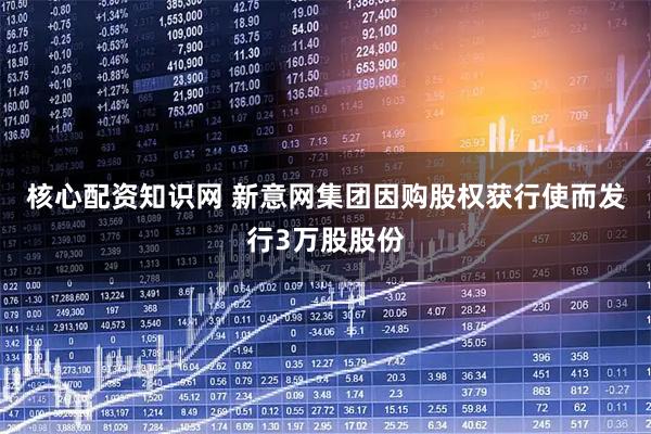 核心配资知识网 新意网集团因购股权获行使而发行3万股股份